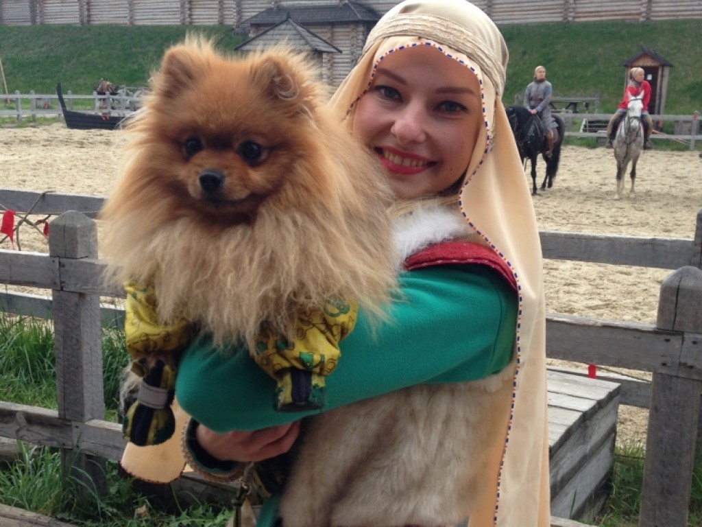 Под Киевом в «Парке Киевская Русь» пройдет фестиваль собак «Лохматые лапки» (ФОТО)