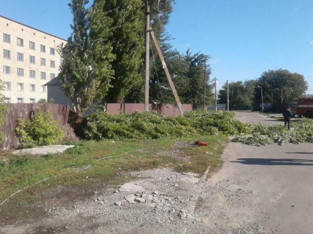 В Запорожской области на асфальт упал оголенный провод: погибла женщина (ФОТО)