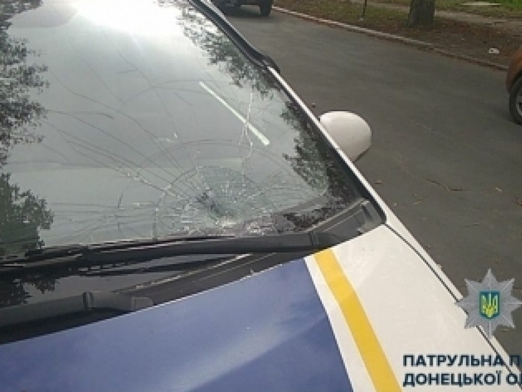 В Донецкой области полицейская машина сбила 10-летнего мальчика (ФОТО)