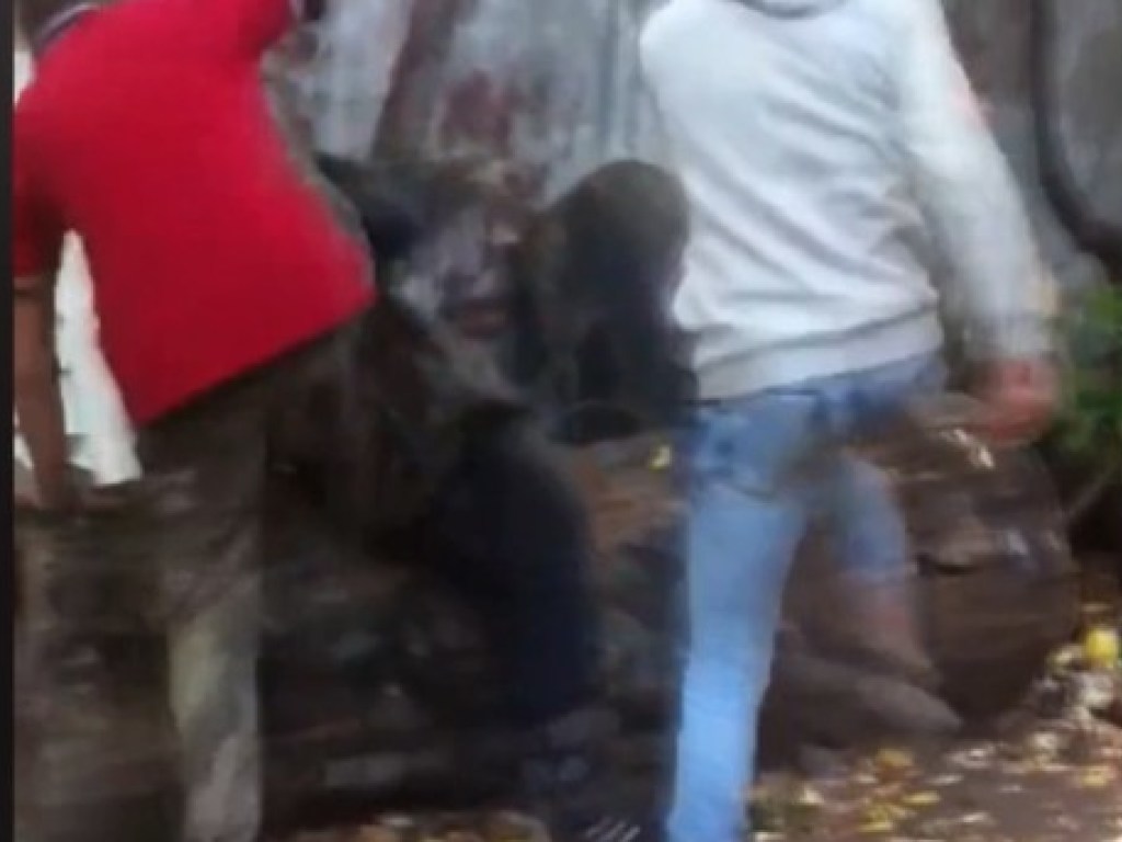 В Одесской области подростки жестоко избили школьника: мальчик попал в больницу