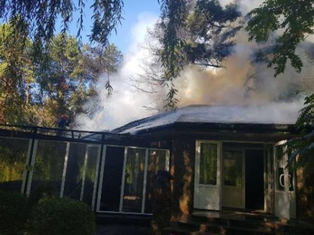 В Черкасском зоопарке возник пожар: пламя вспыхнуло в павильоне с птицами и обезьянами (ФОТО)