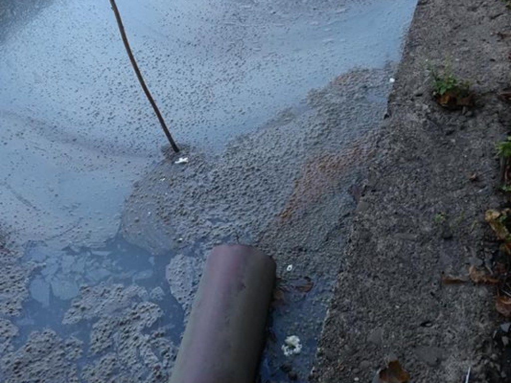 В Сети показали реку с нечистотами, которая течет в Ужгород (ФОТО)