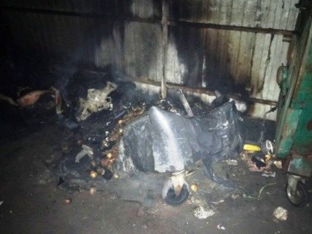 В Житомире у мусорного контейнера сгорел бездомный
