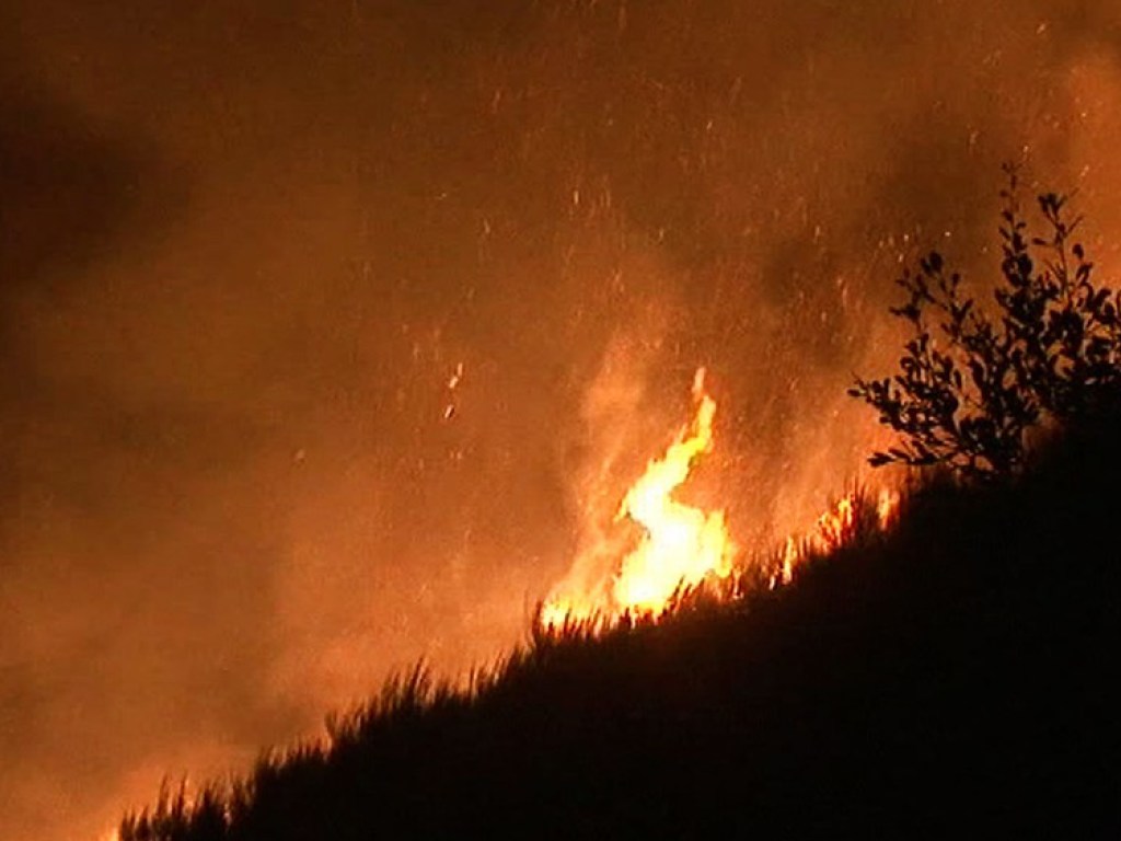 В Португалии начался масштабный лесной пожар: к тушению привлечены семь самолетов-амфибий