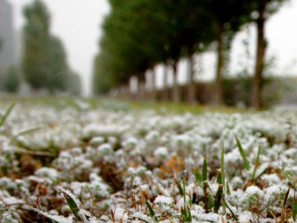 Климатологи предрекли жуткие заморозки в Европе