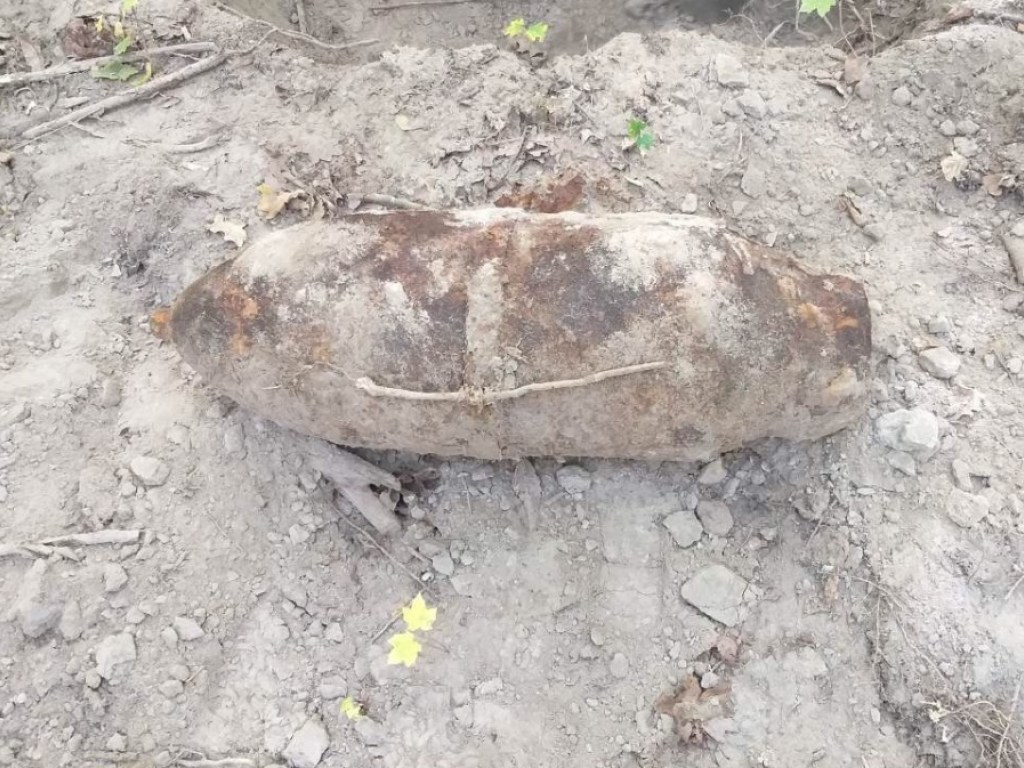 Авиационная бомба калибра 100 килограммов: в Житомирской области грибник нашел боеприпас