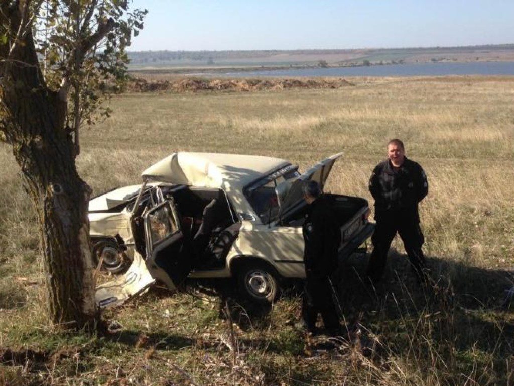 Водитель погиб: В Одесской области «копейка» врезалась в дерево (ФОТО)
