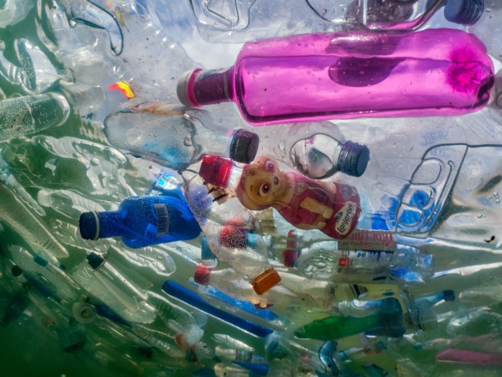 Комитет Европарламента поддержал запрет пластиковой посуды в ЕС