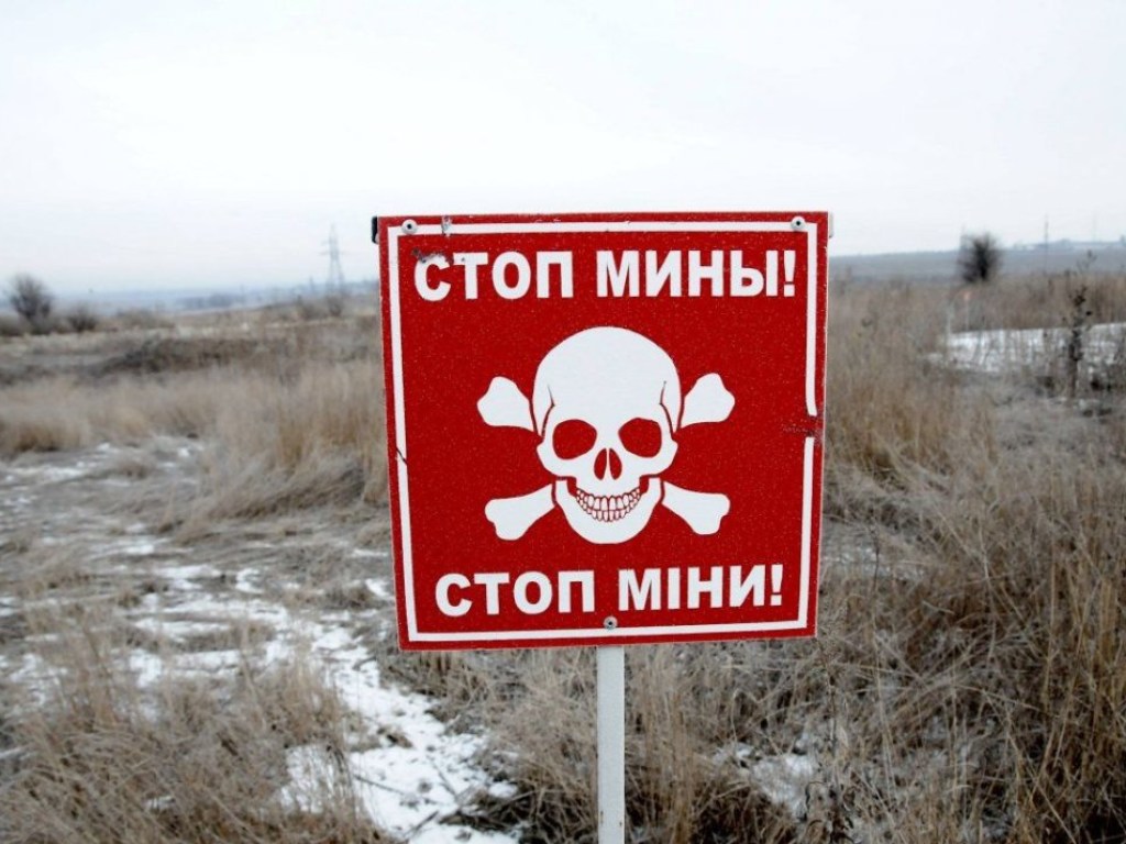 Треть территории Украины загрязнена взрывоопасными предметами &#8212; ГСЧС