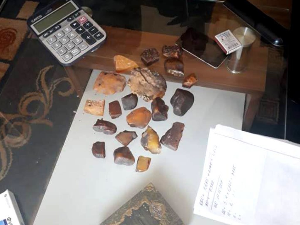 У жителя Ровенской области нашли 100 килограммов янтаря и 8 станков для обработки «солнечного» камня (ФОТО)