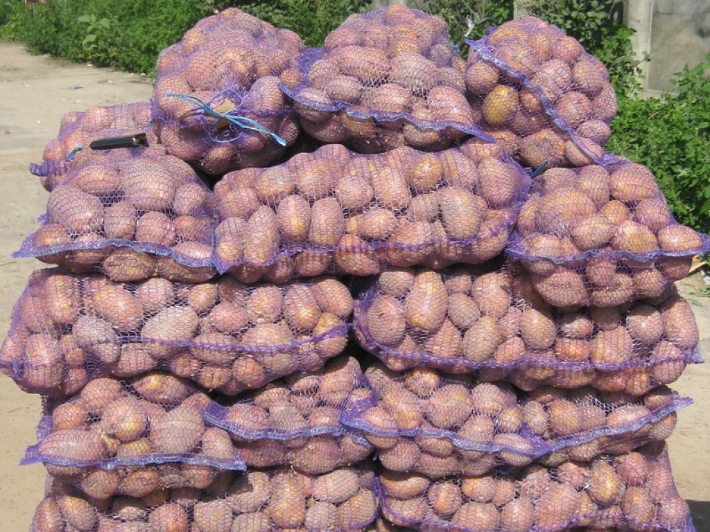 Картошка в Украине будет дорожать до самой весны &#8212; эксперт 