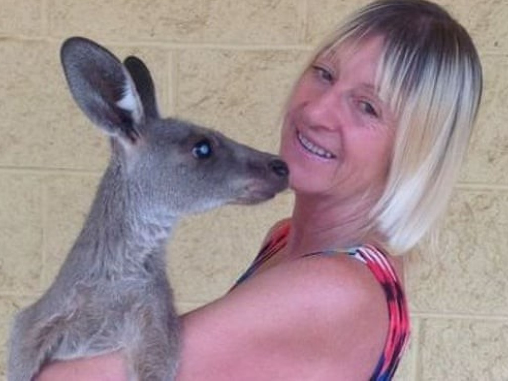 В Австралии кенгуру напал на кормившую его семью
