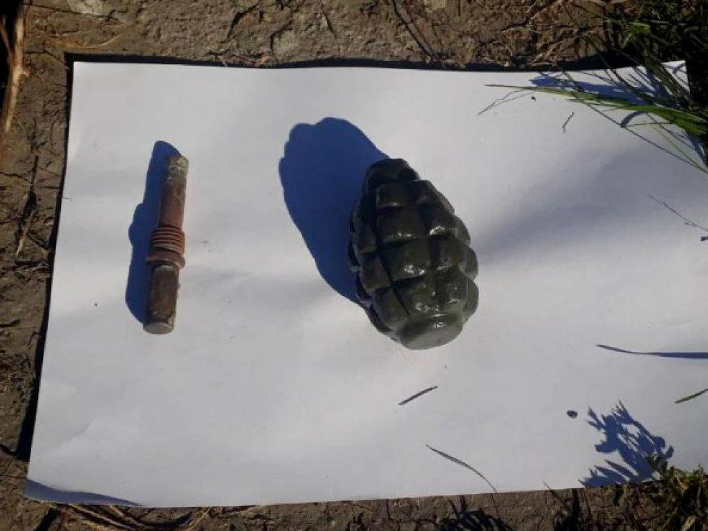 В лесополосе под Бердянском нашли боевую гранату