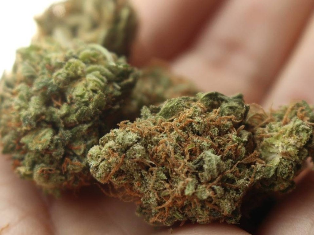 В Канаде окончательно легализировали марихуану: за травой выстроились очереди (ФОТО, ВИДЕО)