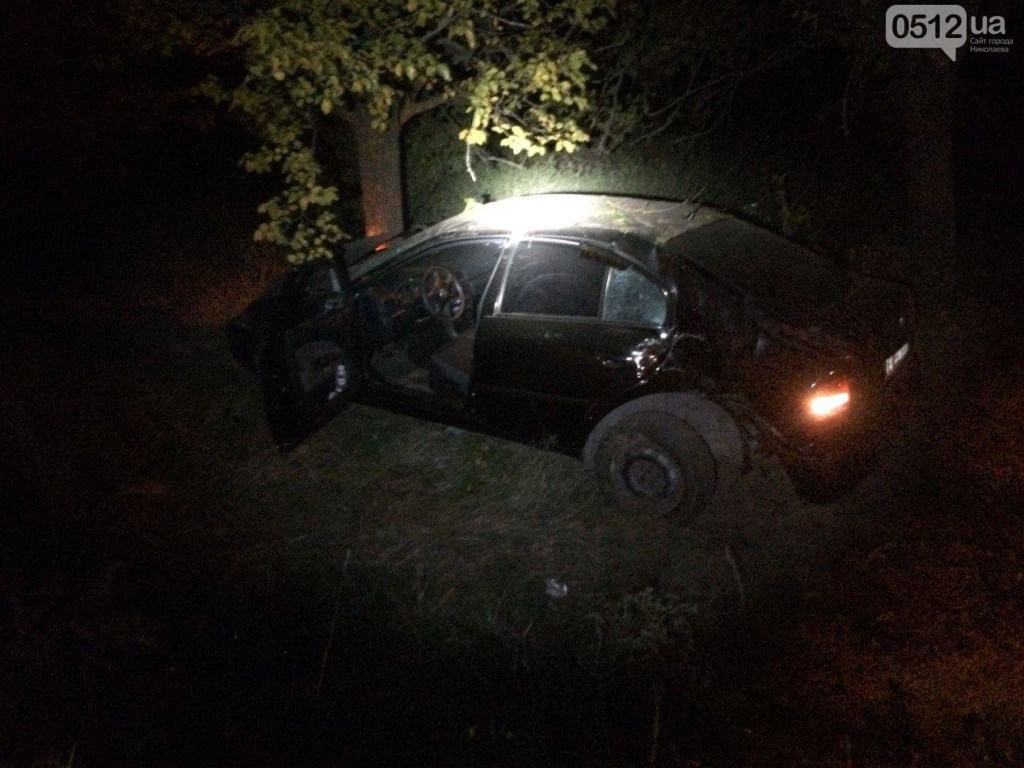 На Николаевщине водитель Skoda съехал в кювет и врезался в дерево (ФОТО)
