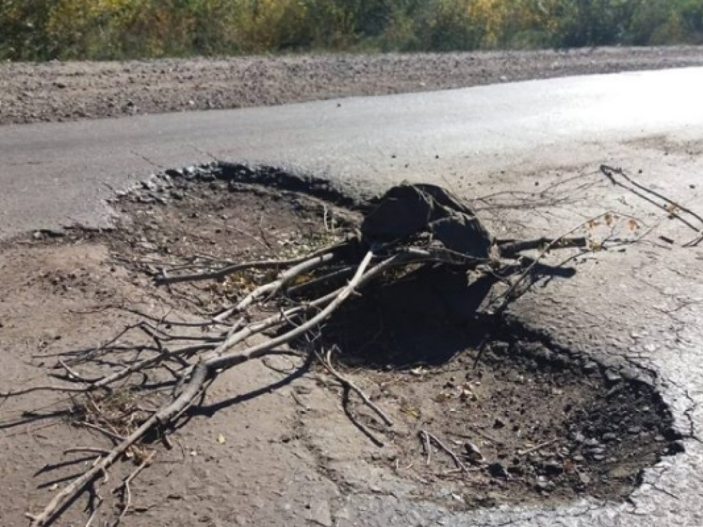 Ноу-хау в ремонте дорог: на запорожской трассе огромную яму прикрыли веткой (ФОТО)