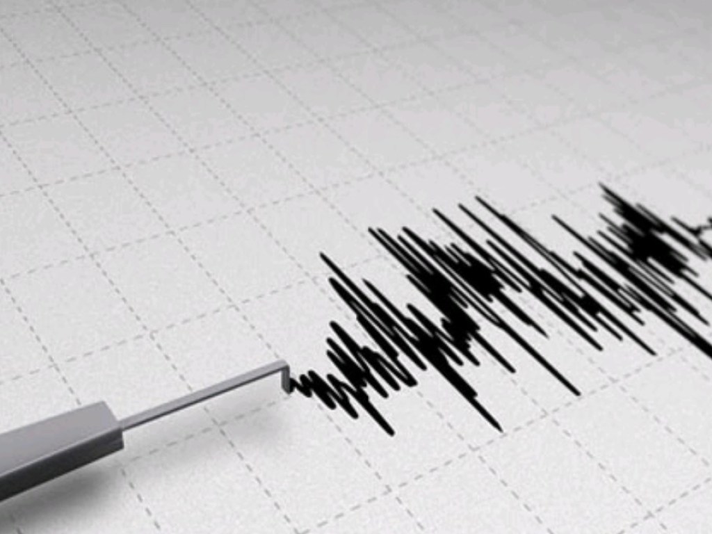 В индонезийской провинции Папуа произошло землетрясение
