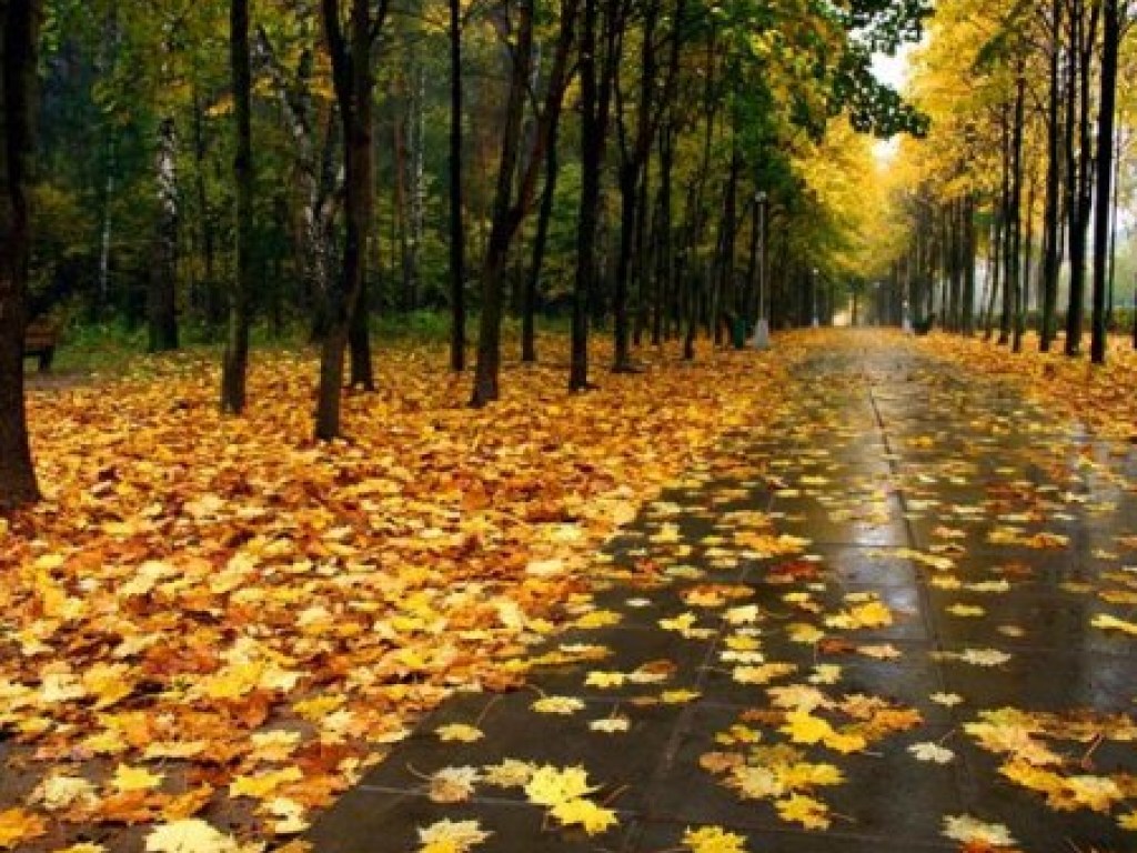 Бабье лето заканчивается: в субботу в Украине местами пройдут дожди
