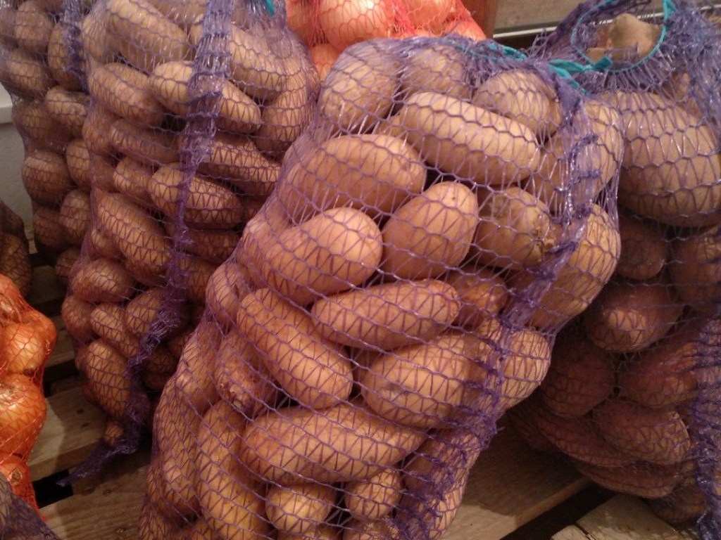 Эксперт: перед покупкой картофеля на зиму, нужно оценить ее размер и однородность цвета