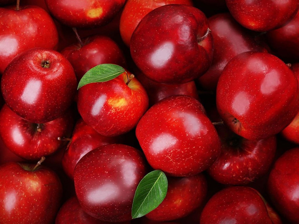 Яблочное изобилие: как сохранить витамины на зиму
