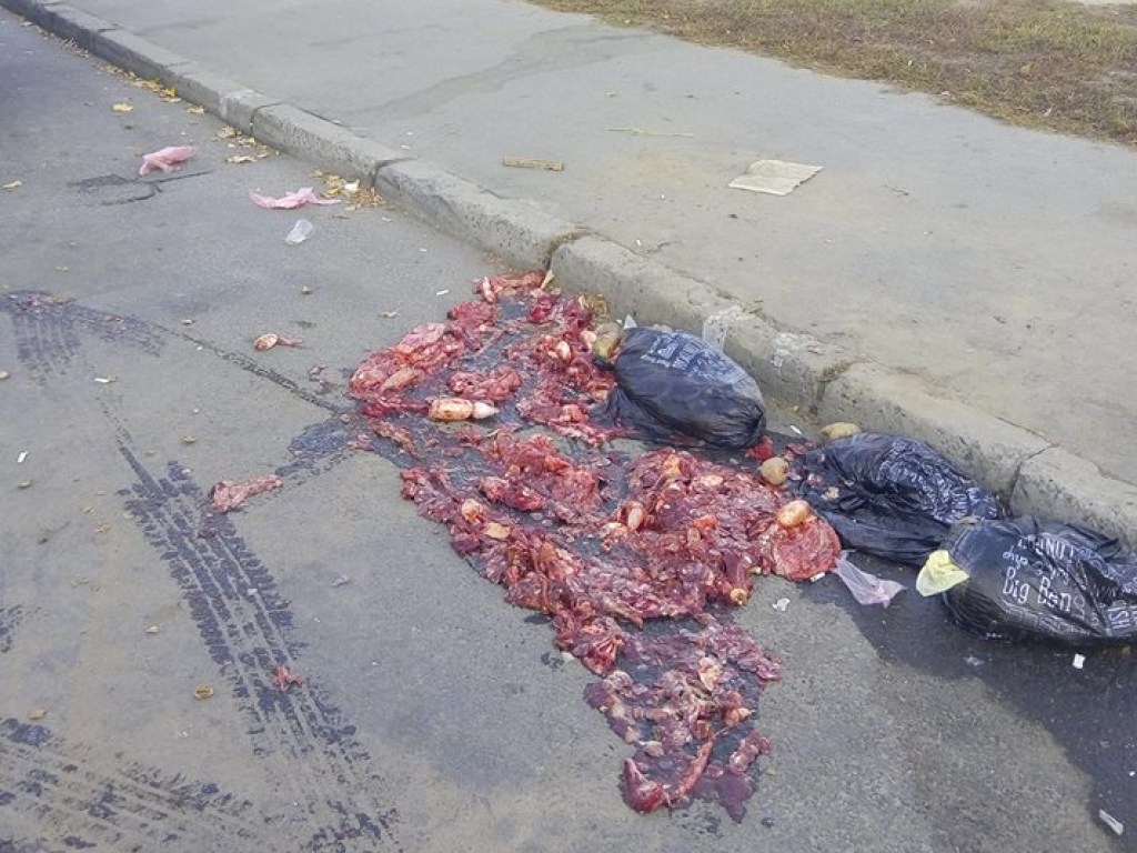 В Киеве на Минском массиве разбросали обглоданные черепа коров и рыбьи потроха (ФОТО, ВИДЕО)