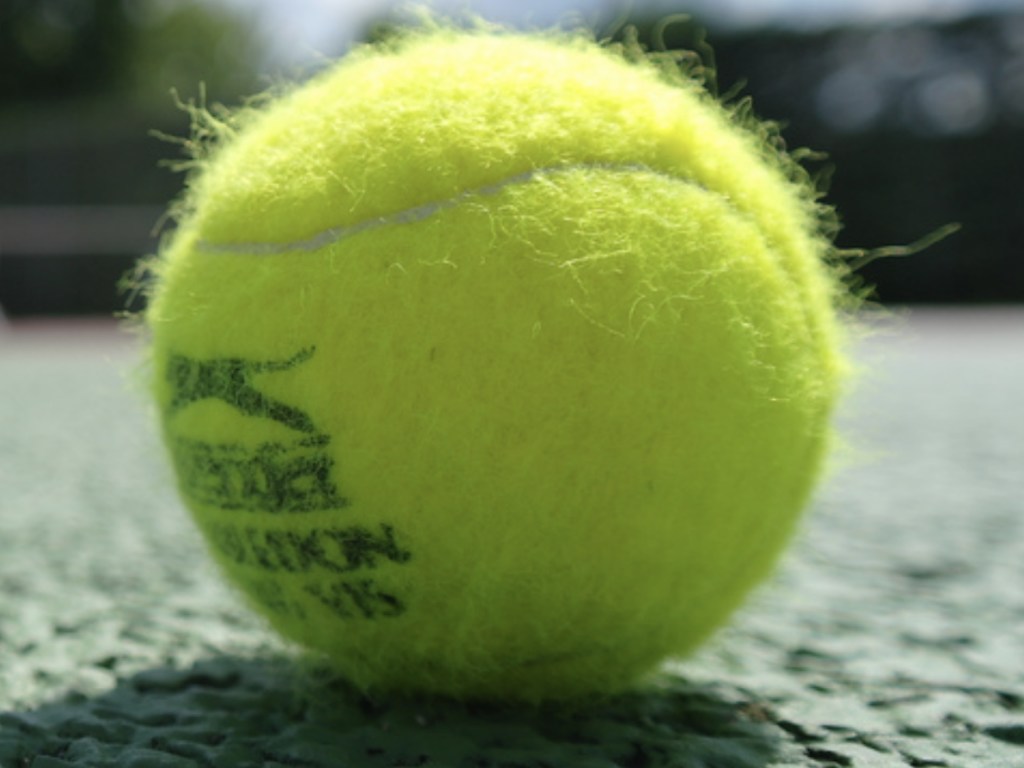 Неуклюжие попытки щенка поймать теннисный мяч умилили пользователей Сети (ВИДЕО)