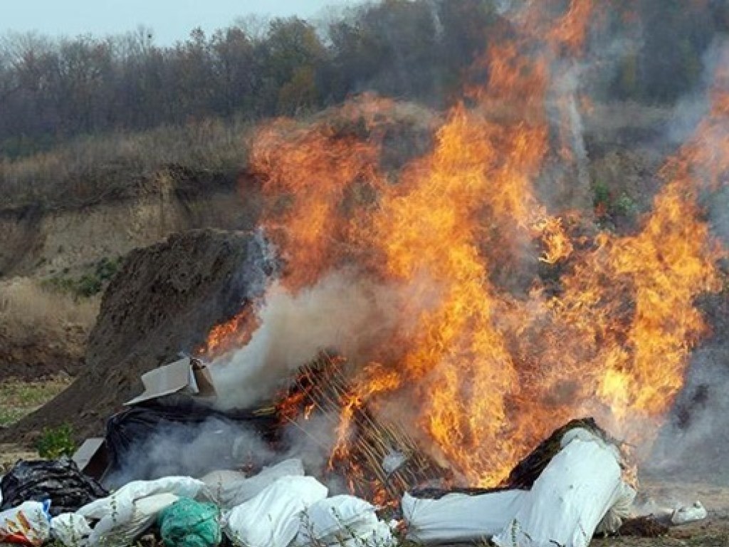 В Хмельницком полицейские сожгли тонну наркотиков (ФОТО, ВИДЕО)