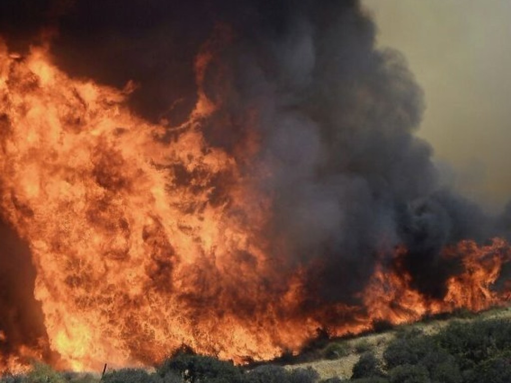 На полуострове в Греции произошел масштабный лесной пожар