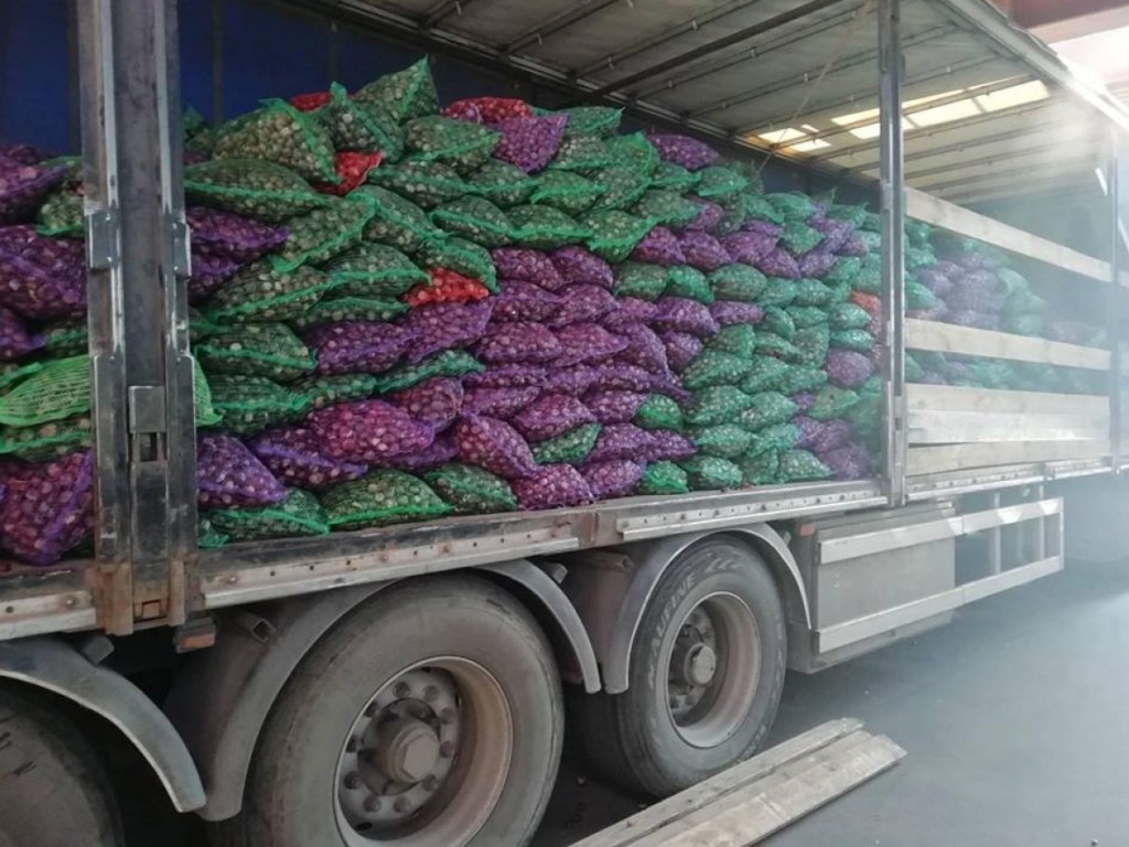 В Киеве собрали 45 тонн каштанов: из них будут делать лекарства