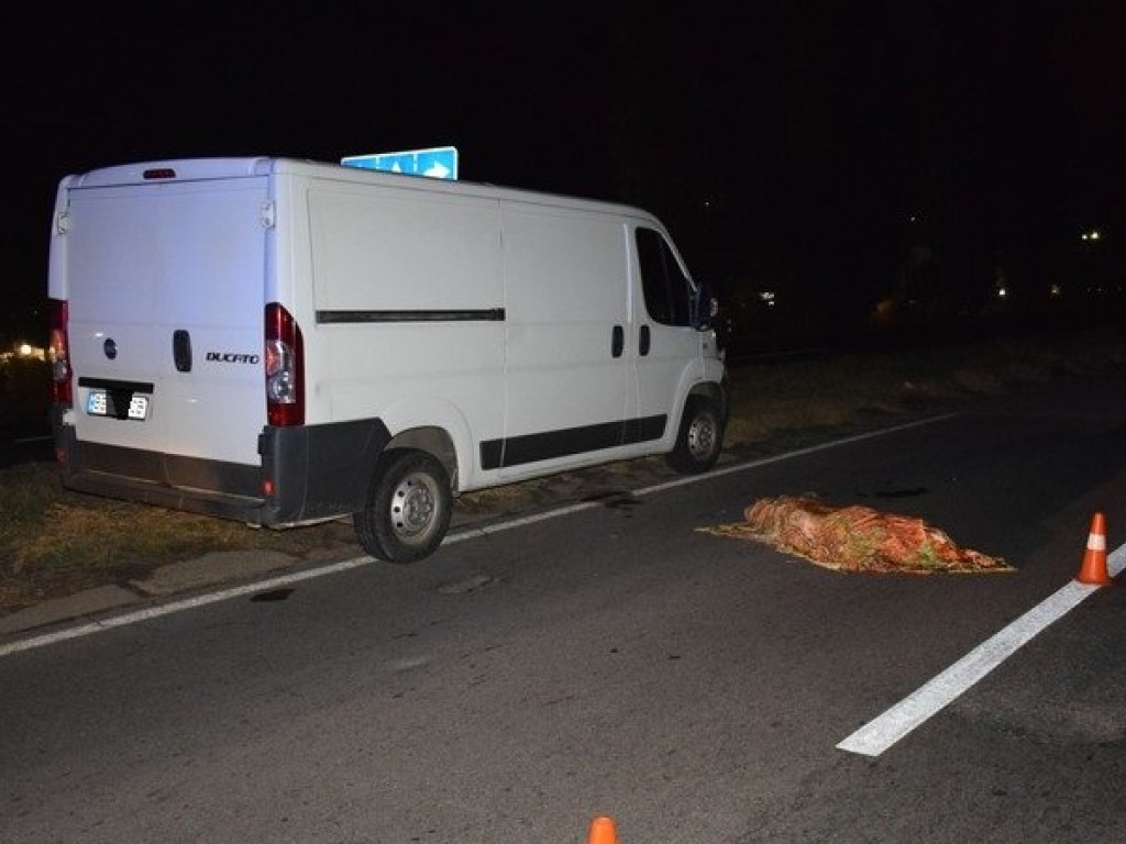 Ночью микроавтобус на въезде в Николаев насмерть сбил пешехода-нарушителя (ФОТО)