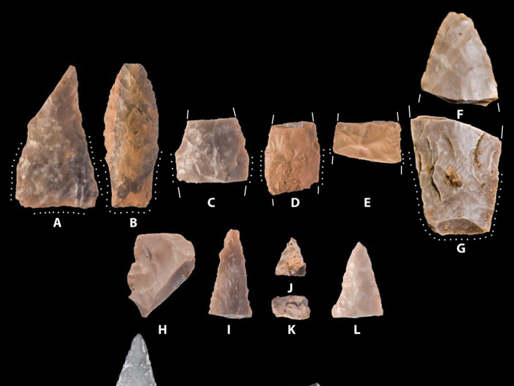 В США нашли самый древний артефакт: оружие возрастом около 15,5 тысяч лет (ФОТО)