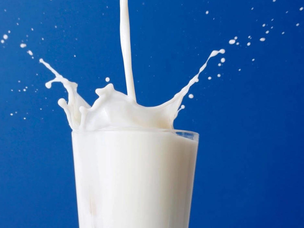 Молоко малоизвестных торговых марок иногда содержит меньше примесей,  чем брендированная продукция – эксперт