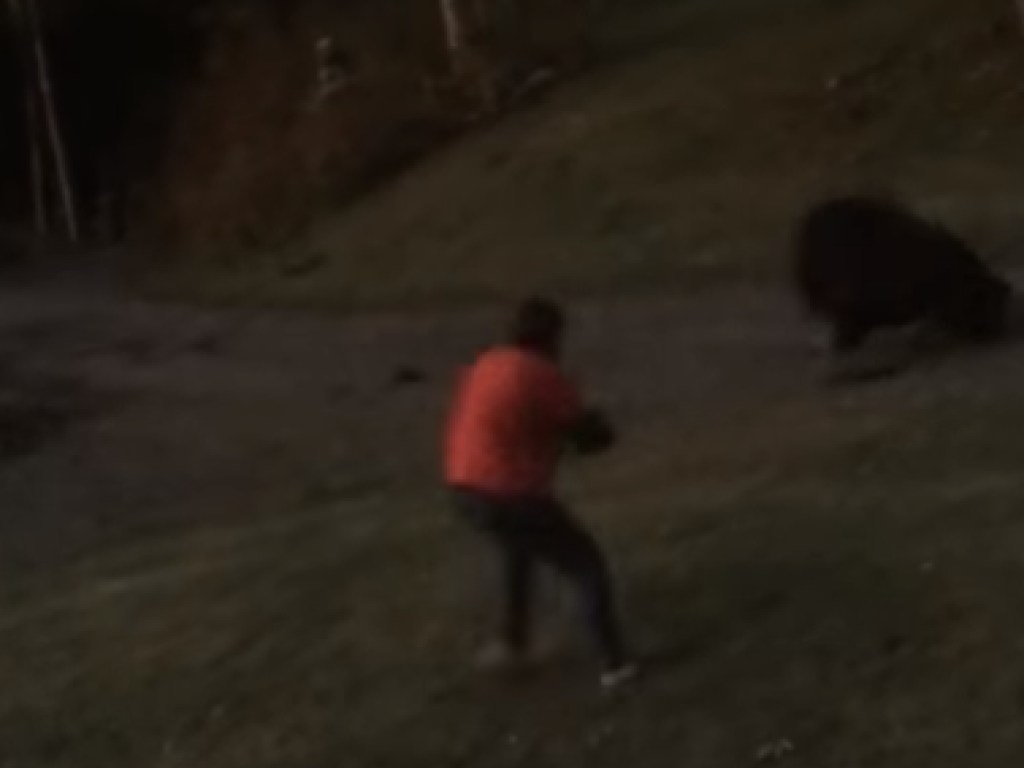 В Канаде медведь гризли напала на мужчину во дворе дома (ФОТО, ВИДЕО)