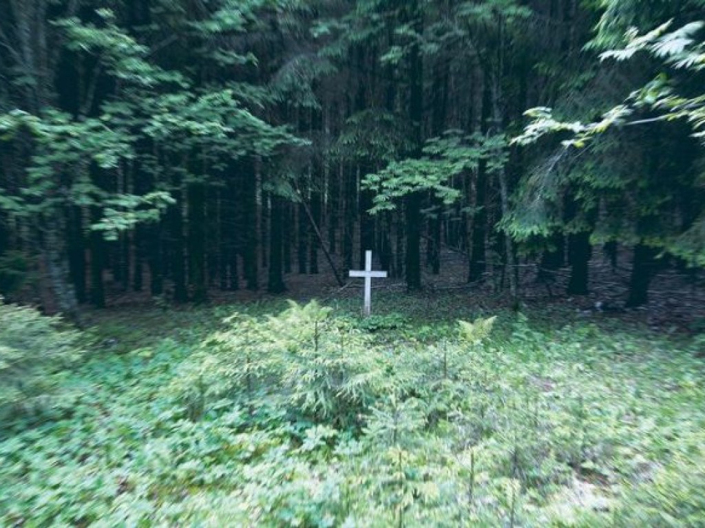 Фотограф заснял призрака над старой могилой (ФОТО)