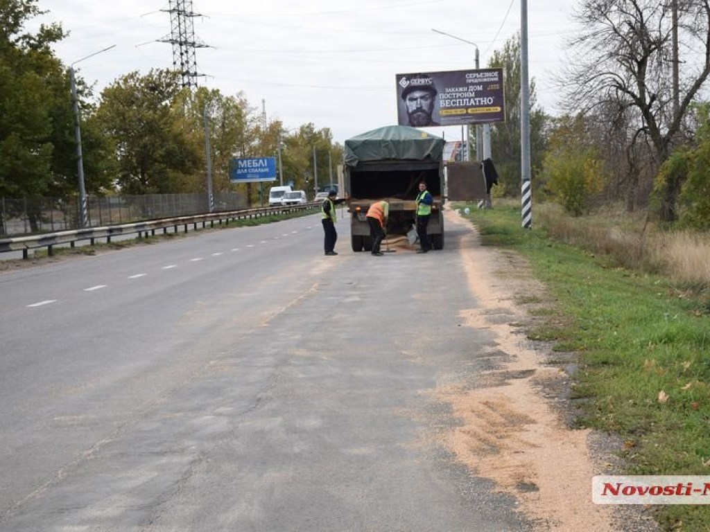 Засыпало 500 метров дороги: в Николаеве на ходу высыпалось около 10 тонн зерна (ФОТО)