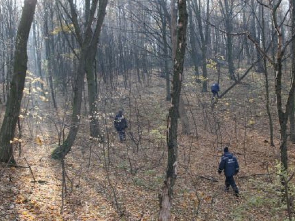 На Тернопольщине в лесу нашли два трупа