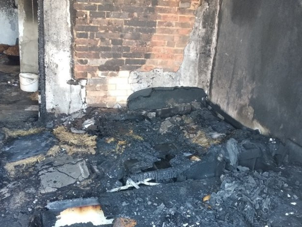 В Одесской области при пожаре погибла молодая женщина (ФОТО)