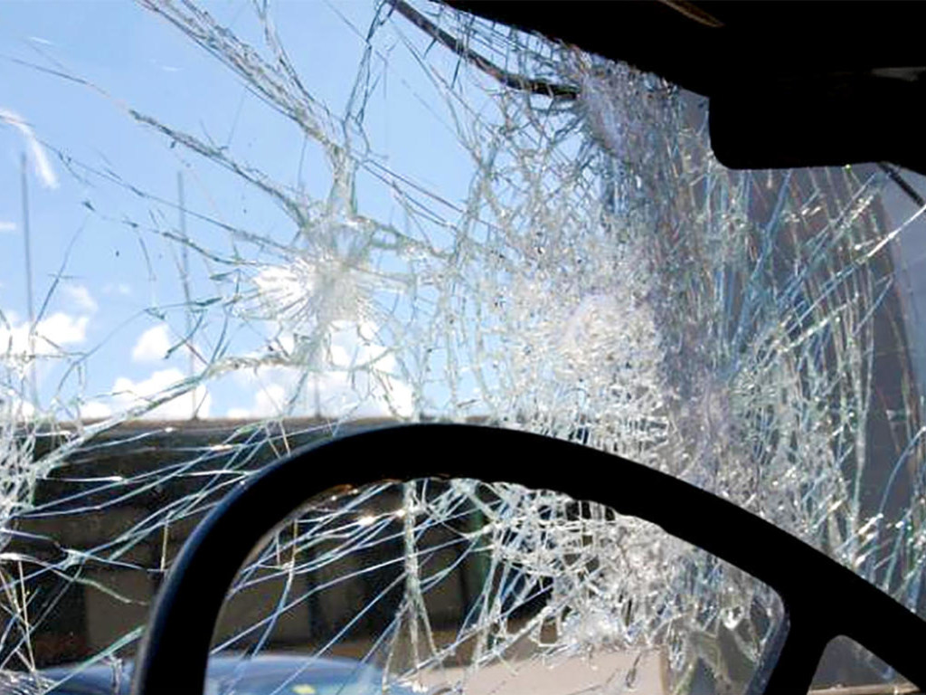 Водитель пытался прогнать любопытную кошку, а разбил лобовое стекло своего автомобиля (ВИДЕО)