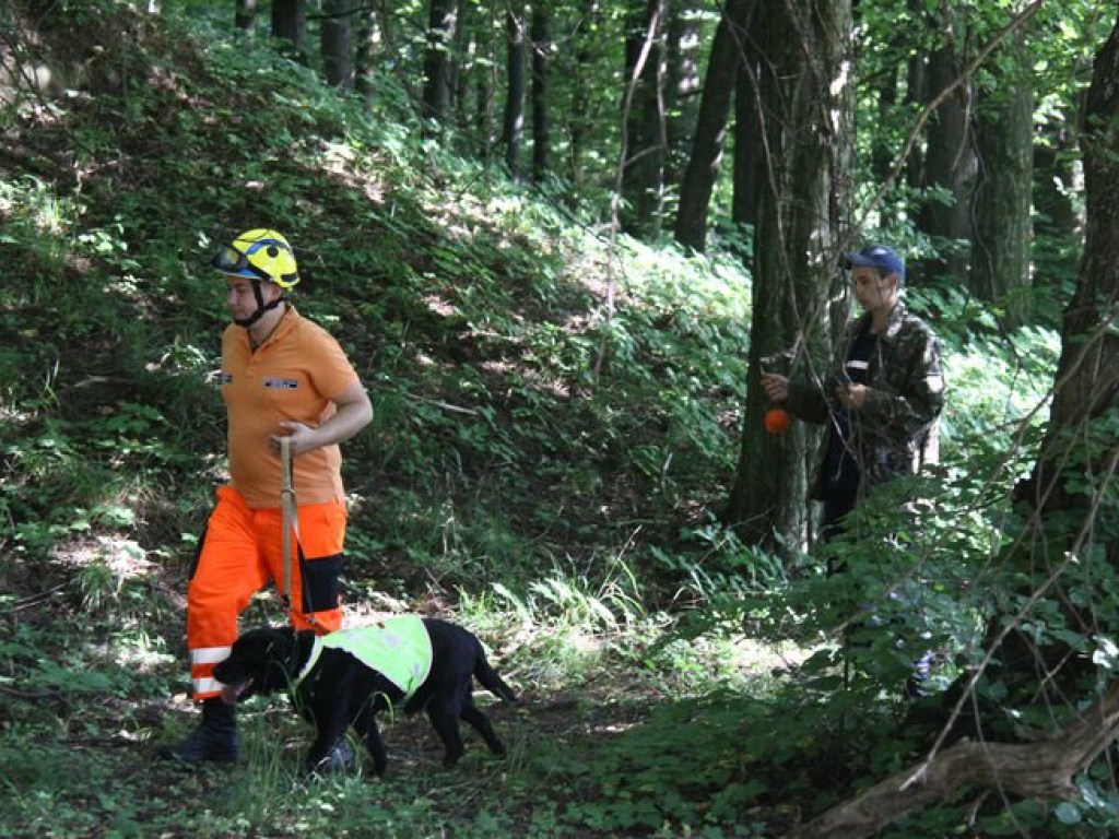 В Винницкой области обнаружили труп пожилого мужчины (ФОТО)