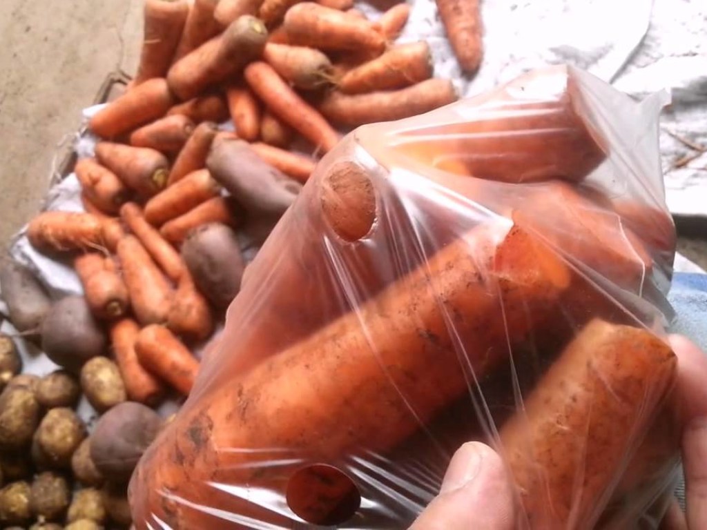 Эксперт рассказал, как правильно выбирать морковь и лук для длительного хранения