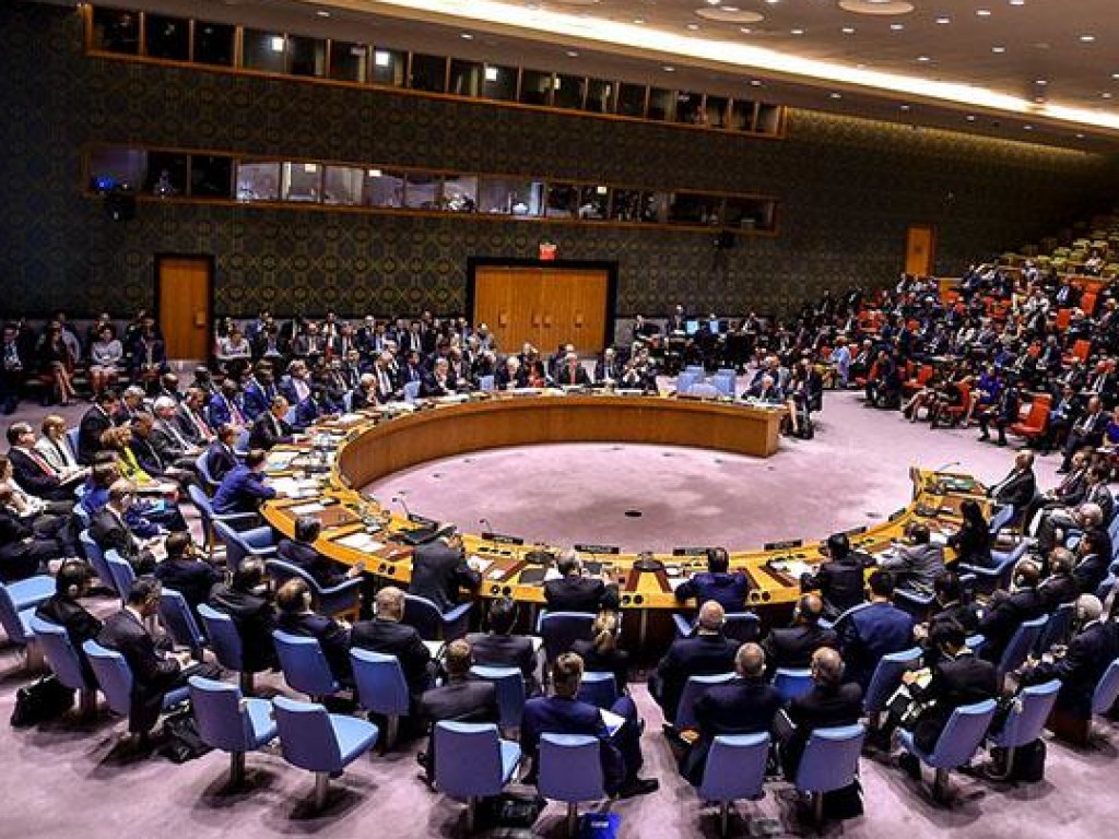 На Совбезе ООН Украина разведывала соотношение сил по вопросу конфликта на Донбассе &#8212; политолог