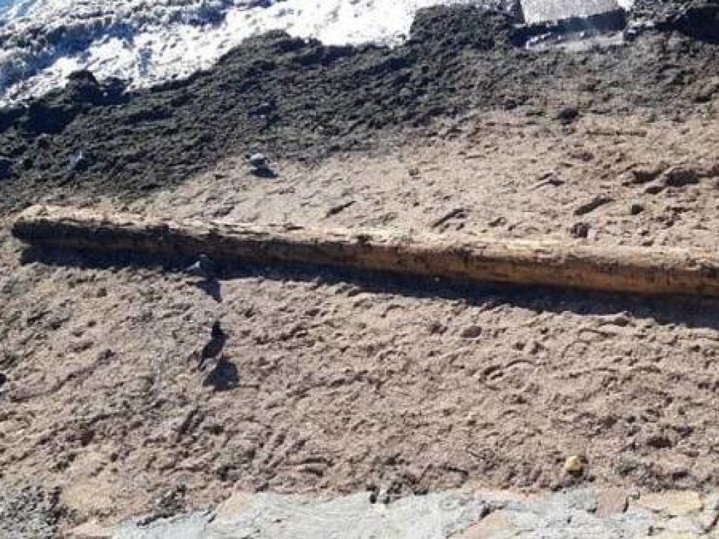 В Бердянске волны на берег выбросили обломки старинного корабля (ФОТО)