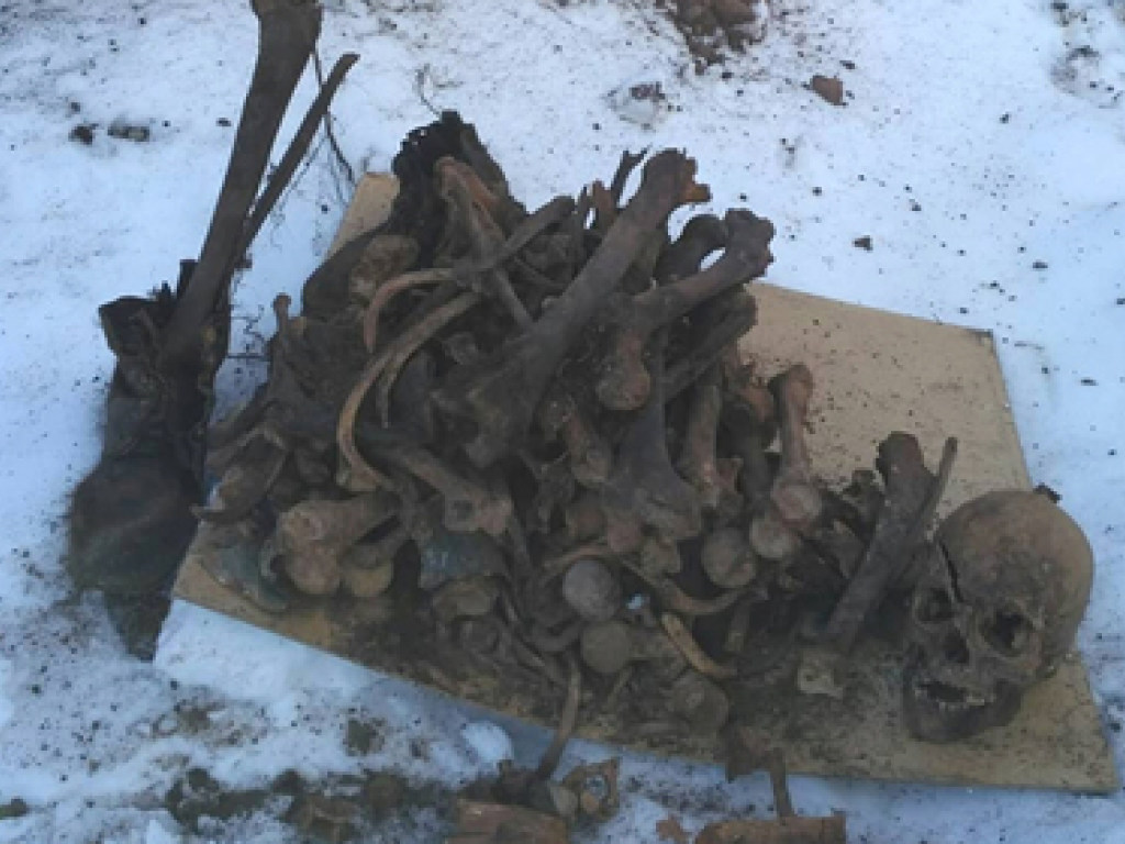 Мужчина выкопал на даче десятки простреленных черепов (ФОТО)