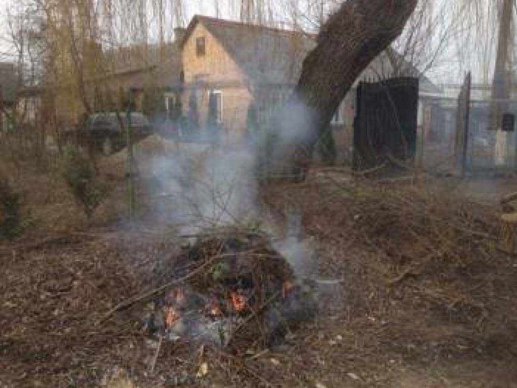 Жителя Бердичева оштрафовали за сжигание мусора