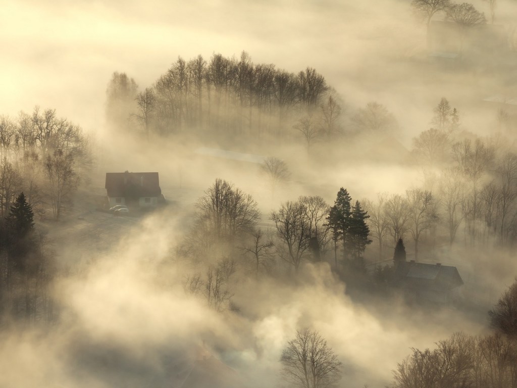 С туманом, но без снега: синоптик рассказал о ноябрьской погоде в Украине