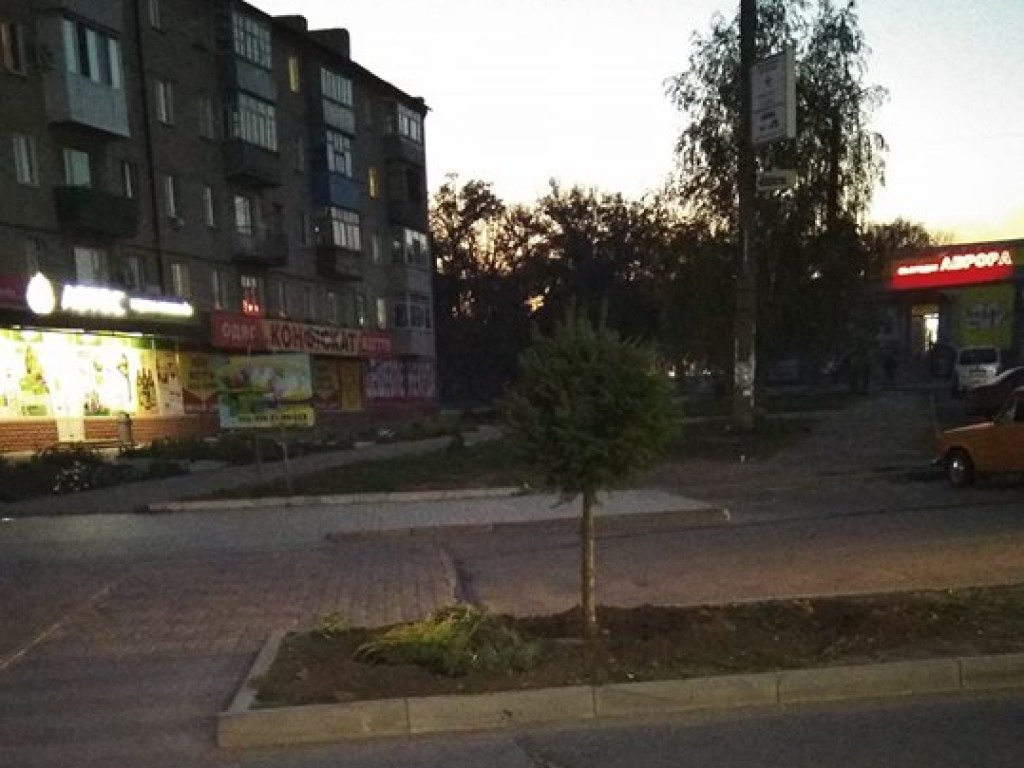 В Запорожской области посреди дороги посадили дерево (ФОТО)