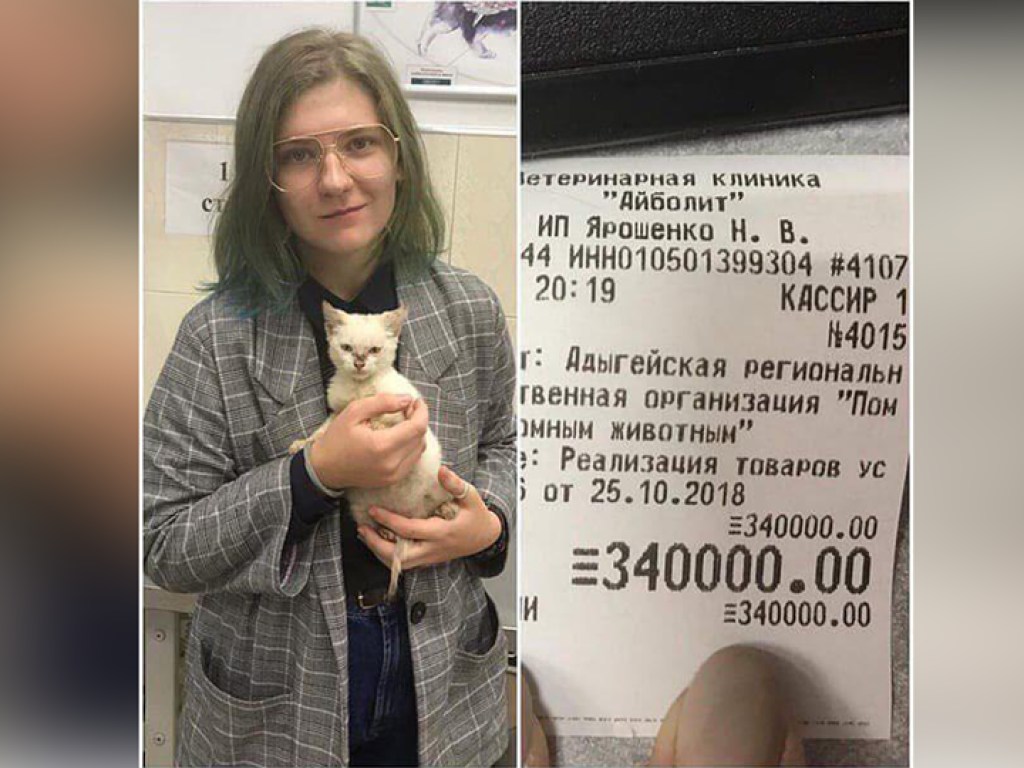 Девушка заплатила 340 тысяч приюту за то, чтобы они приняли котенка (ФОТО)