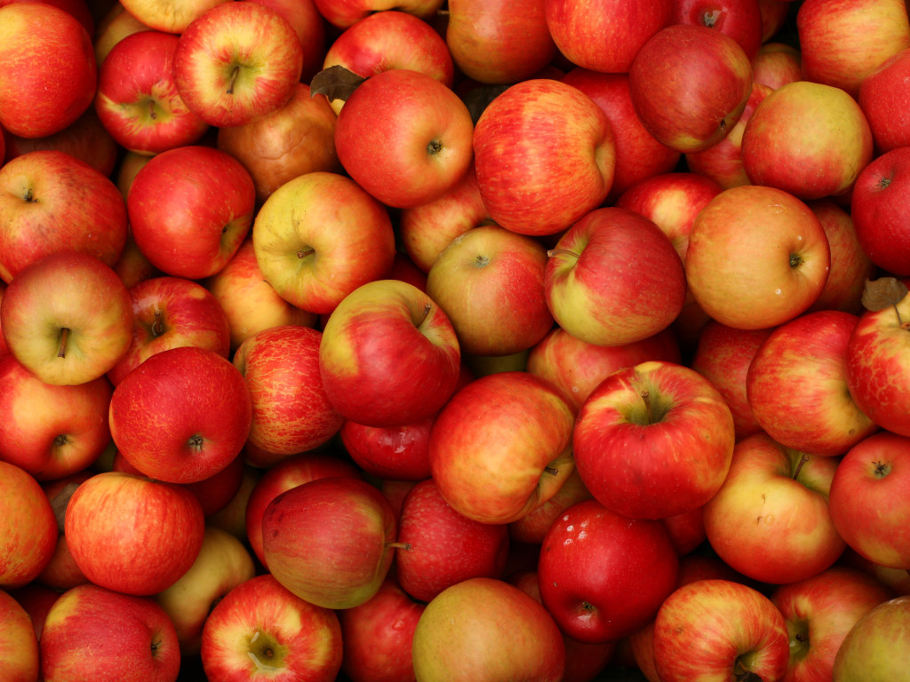 Агроном раскрыл секреты долгого хранения яблок