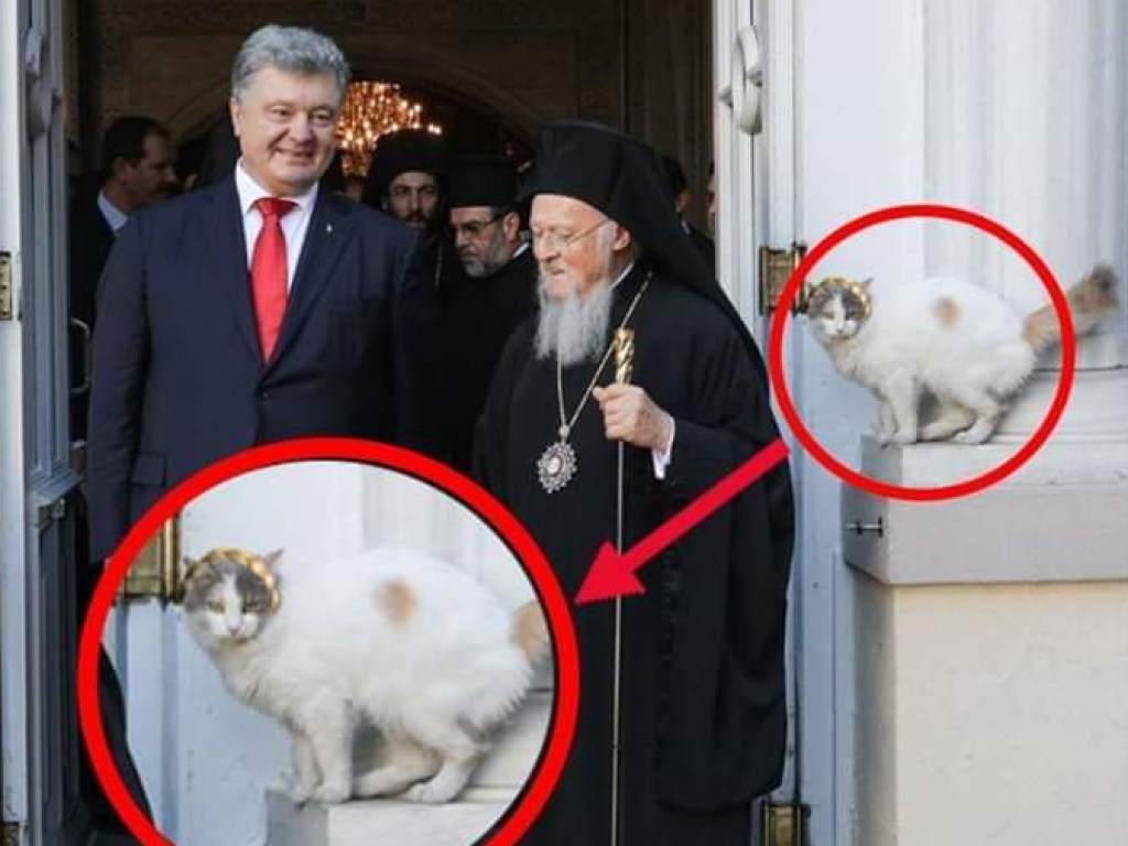 Кошка на фото с Порошенко и Варфоломеем рассмешила пользователей Сети (ФОТО)