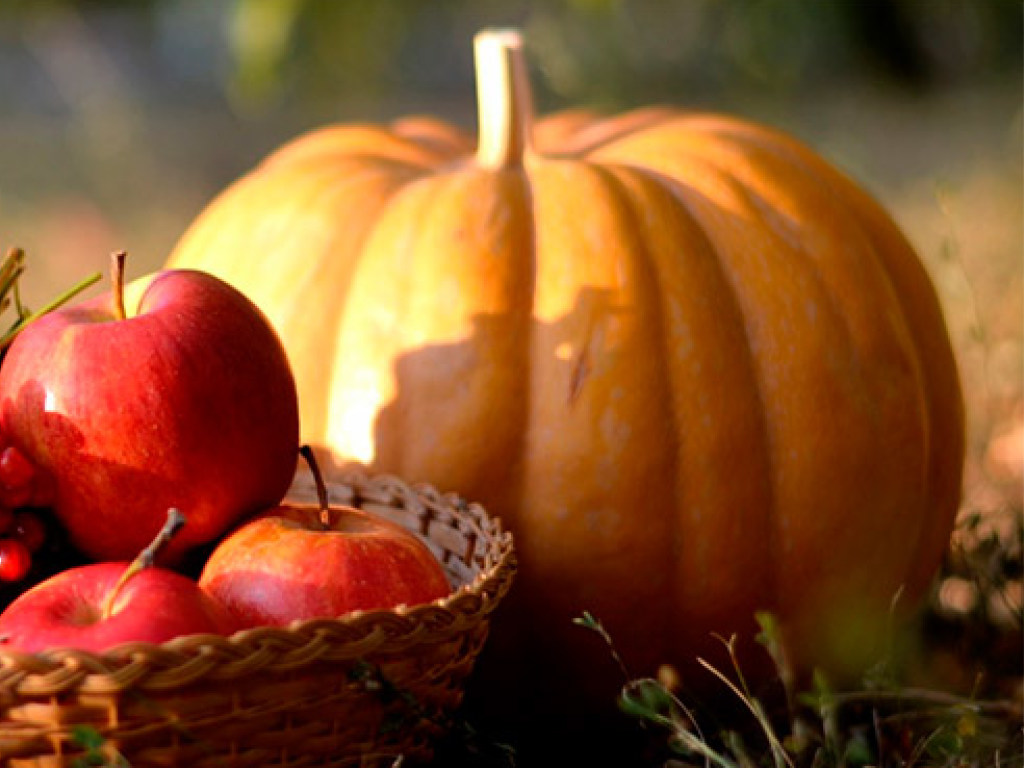 Осенью наиболее действенными являются разгрузочные дни на тыкве и яблоках &#8212; эксперт
